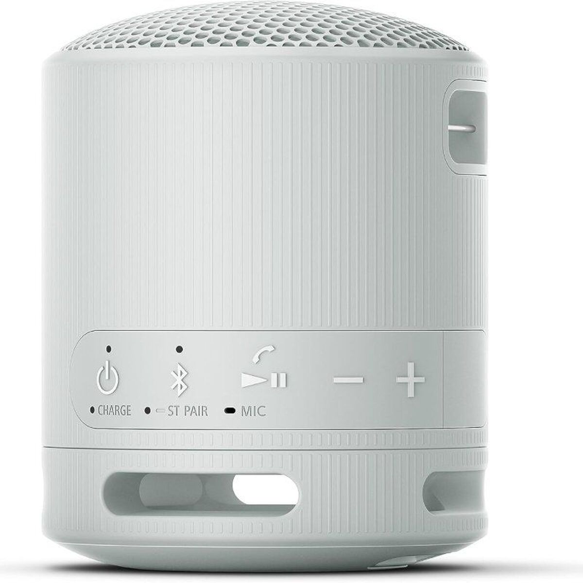 Portable Bluetooth Speakers Sony XB100 Grey