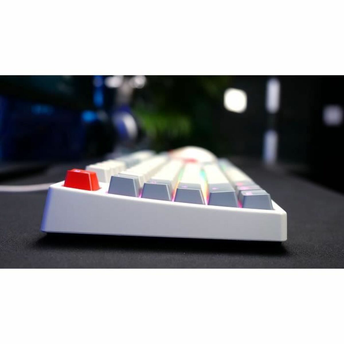 Keyboard and Mouse Cherry