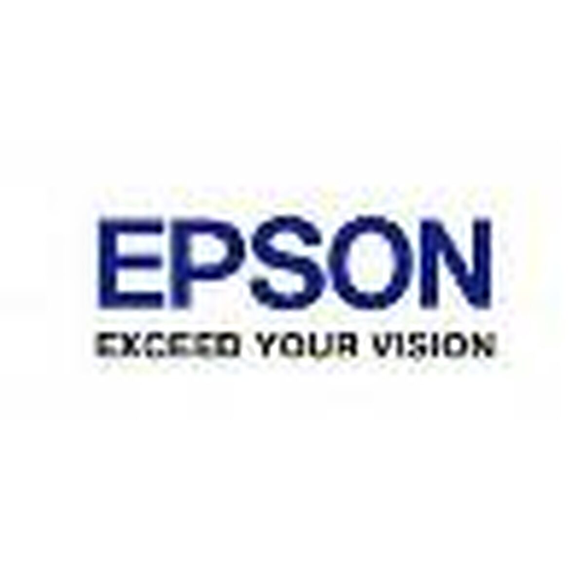 Printer Input Tray Epson B12B813561