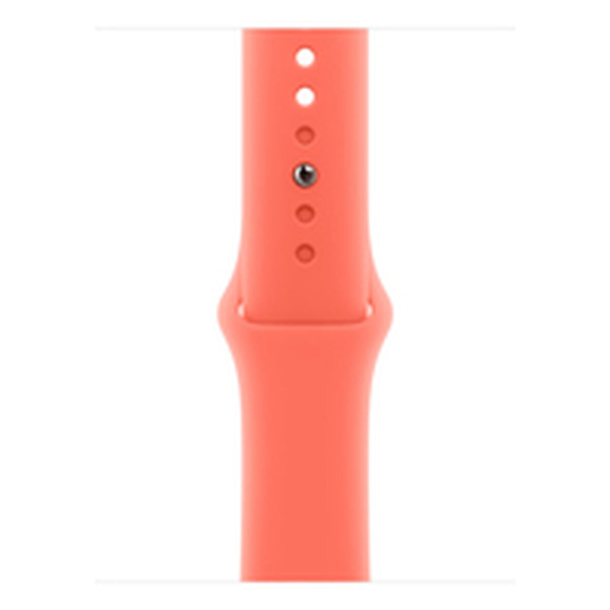 Watch Strap Apple MDT04ZM/A M/L