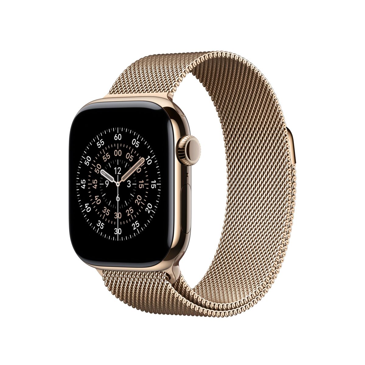 Watch Strap Apple MGHW4ZM/A