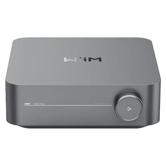 Amplifier Wiim WIIN AMP