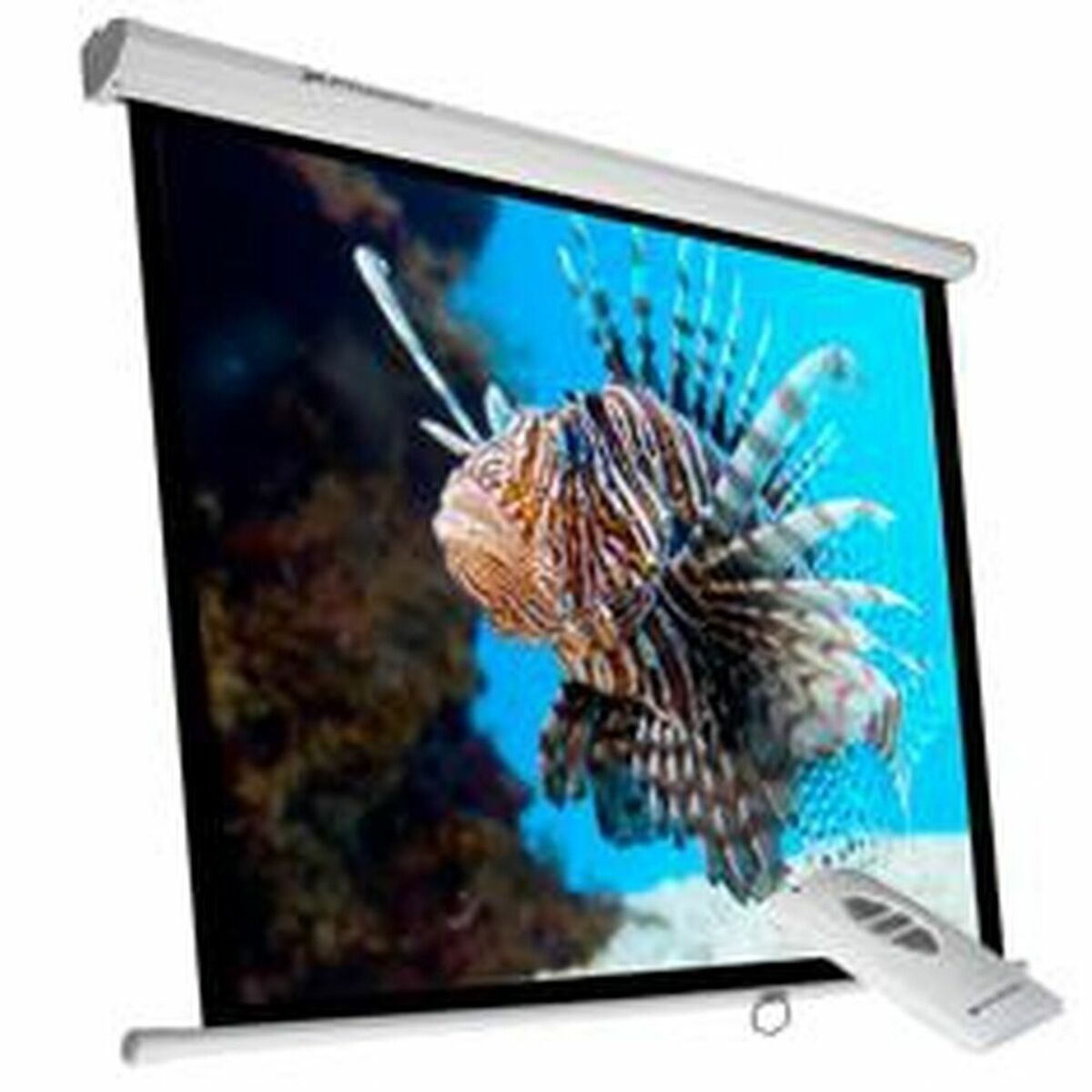Projection Screen Phoenix PHPANTALLA-ELEC240