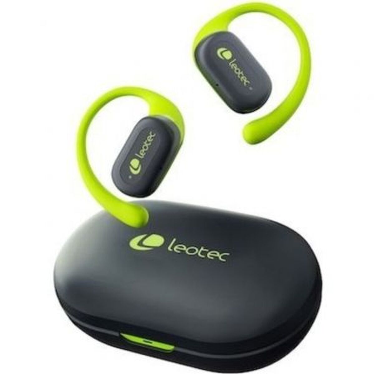 Monitor LEOTEC LETWS01G Green